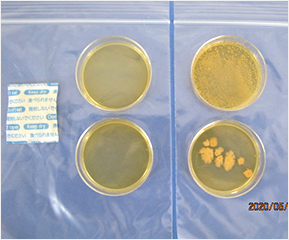 エコポッケが微生物の増殖を抑制し除菌します